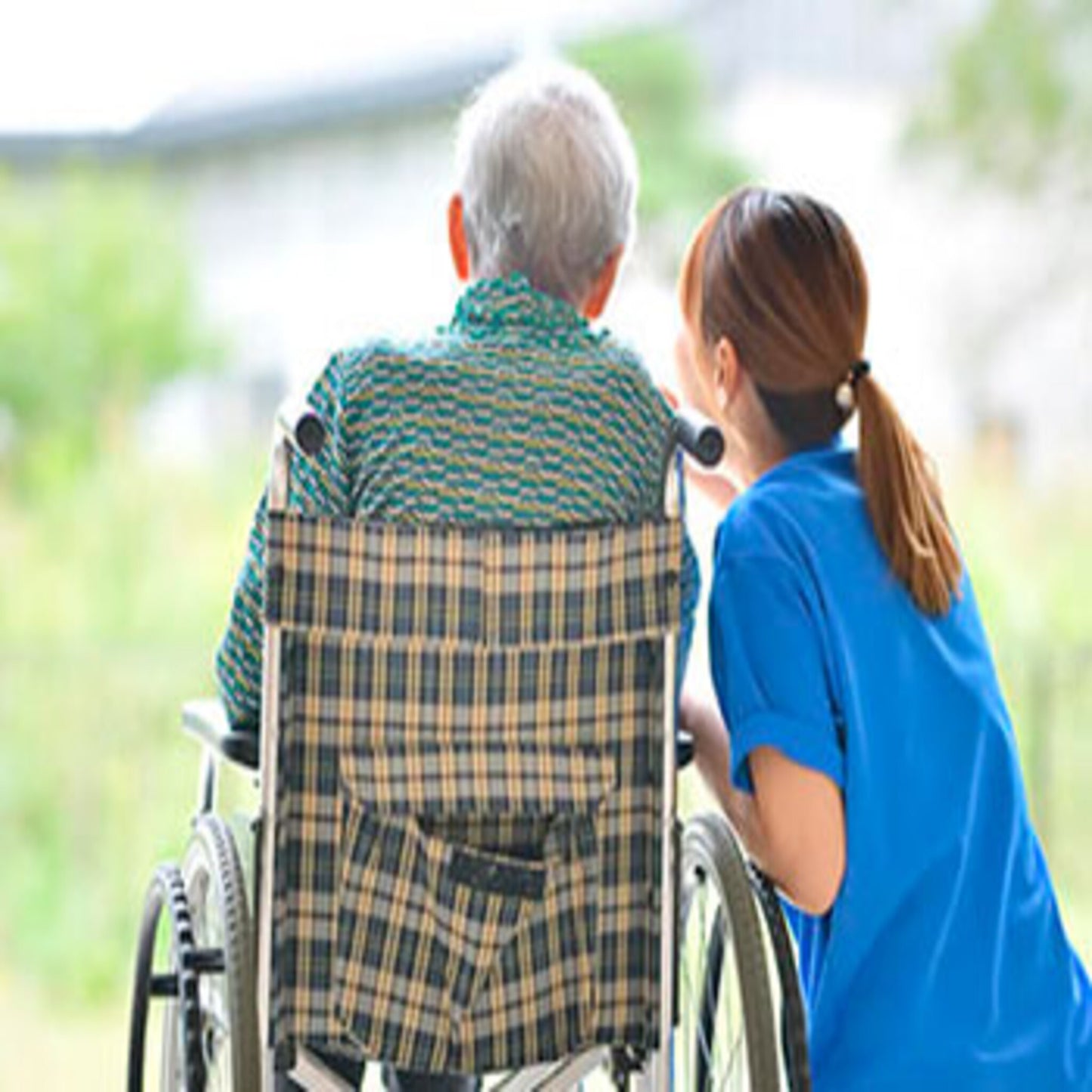 Gestione Colf/Badanti