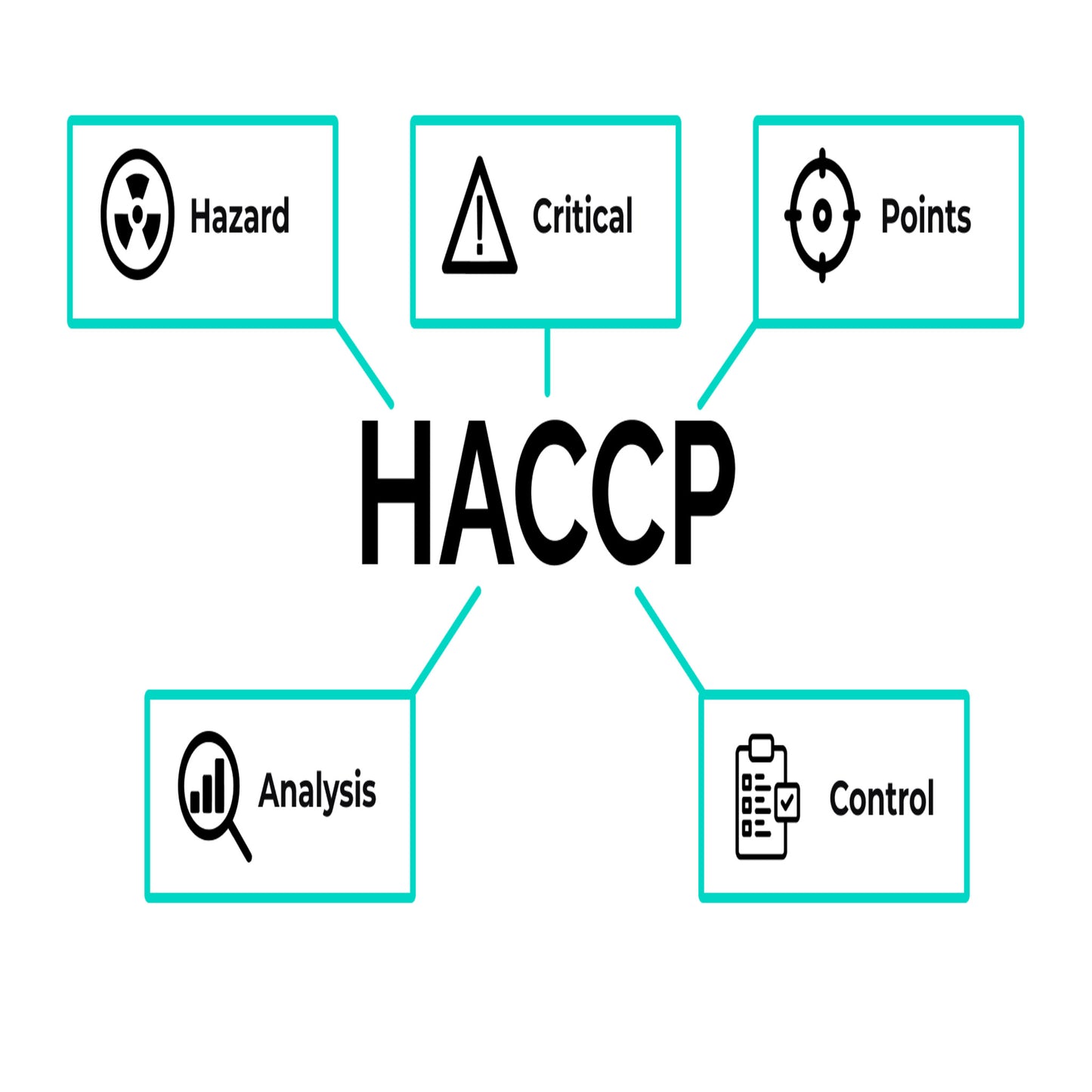 HACCP - Obbligo di Preventivo
